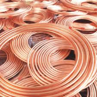 Copper Pipe Hairy